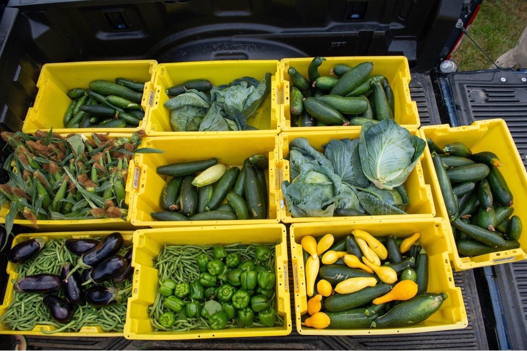 worcester county jail farm vegetables